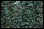 PEACOCK GREEN